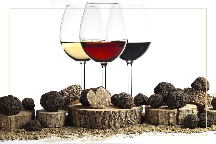 Tartufo e Bollicine d'estate: la guida agli abbinamenti che funzionano davvero!